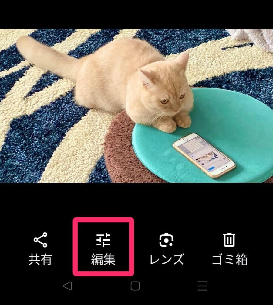 Googleフォト写真「編集」画像