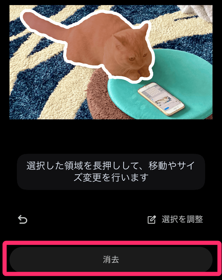 切り取り元となる猫を選択する