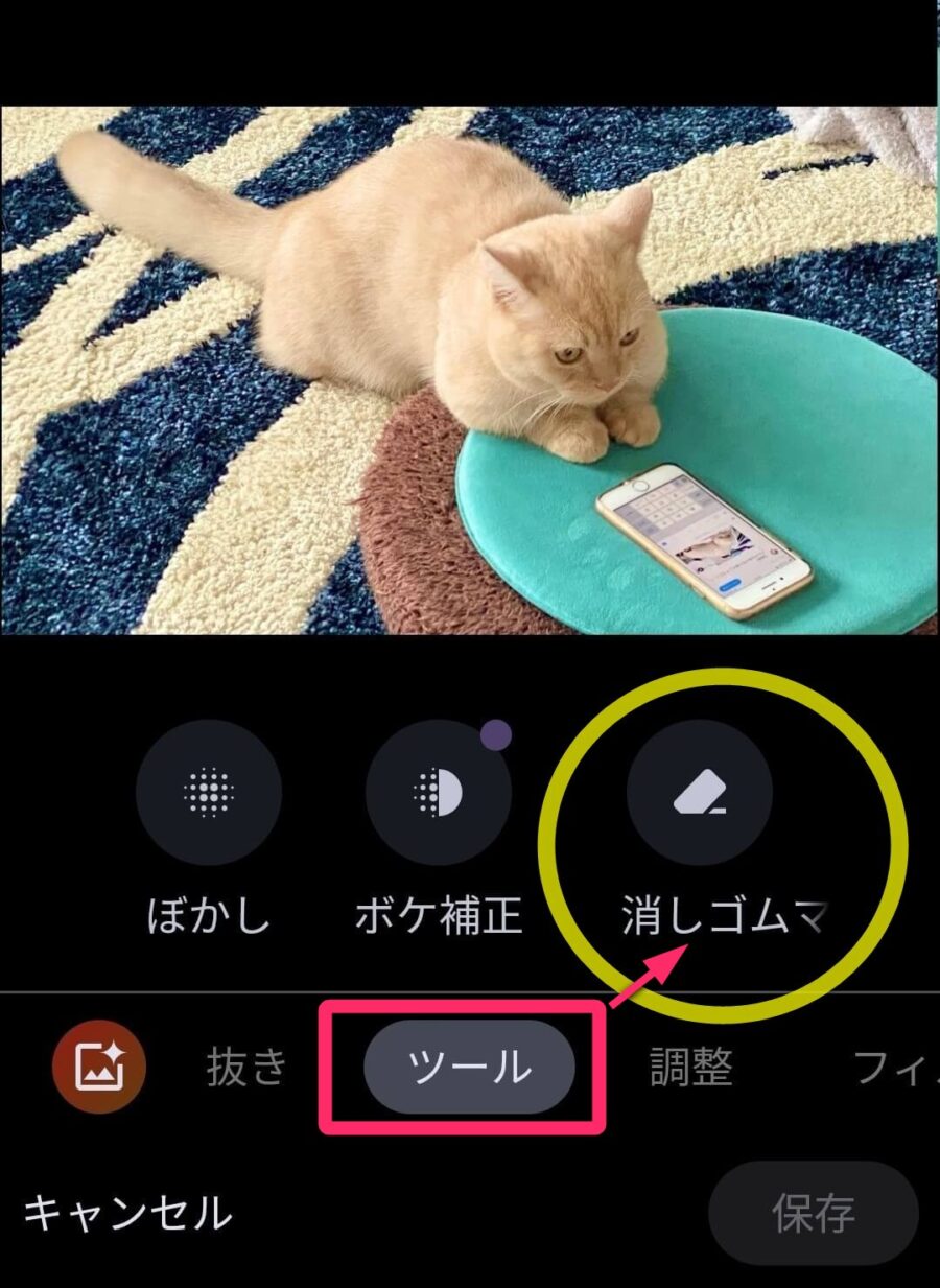 Googleフォトツールからの消しゴムマジック